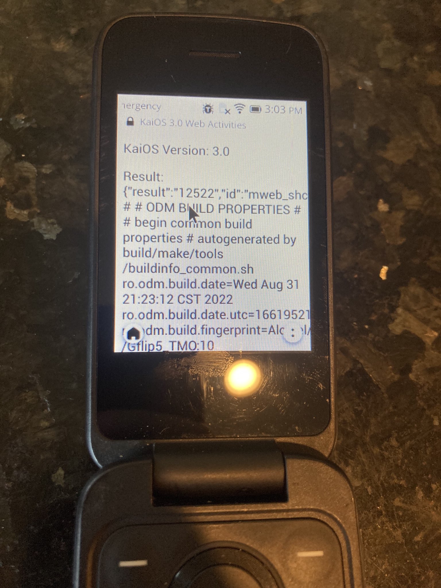 Photo of build.prop file displayed on Alcatel Go Flip 4 (KaiOS 3.0) browser