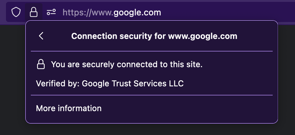 Connection details for Google.com